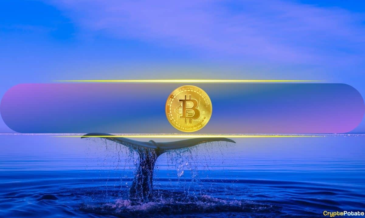 Whales Profit-Take in $115K–$125K Zone